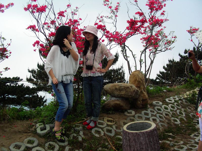 dscn9641.jpg