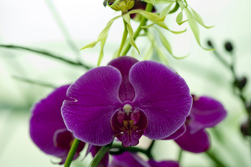 dsc_6221a.jpg
