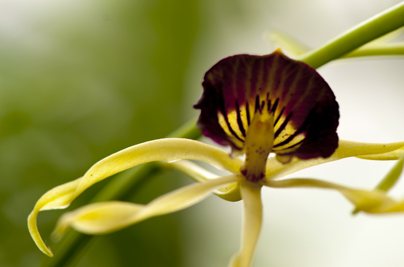 dsc_6224a.jpg
