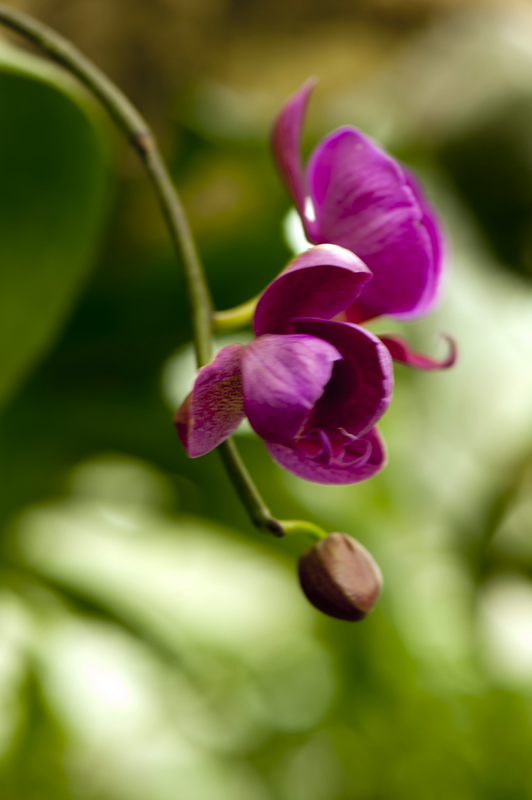 dsc_6226a.jpg