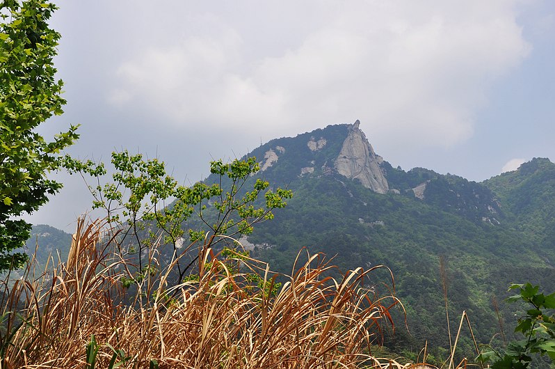 dsc_0376.jpg