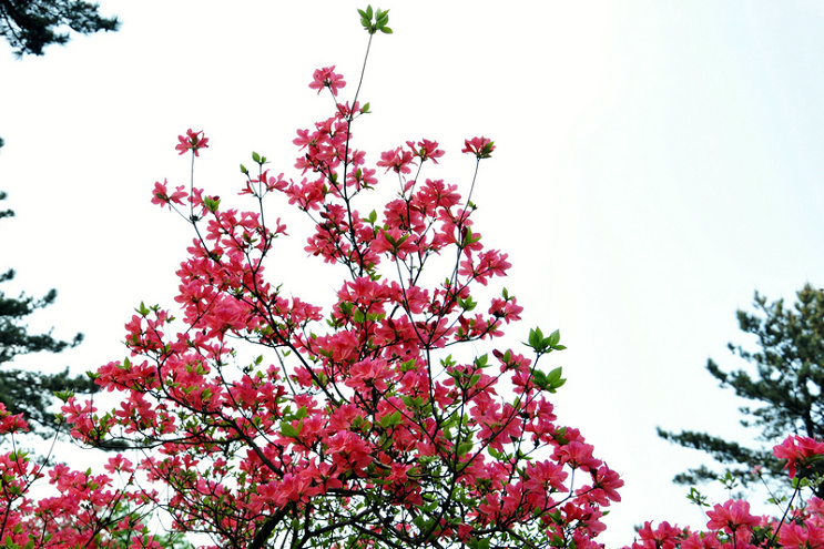 dsc_5088__.jpg