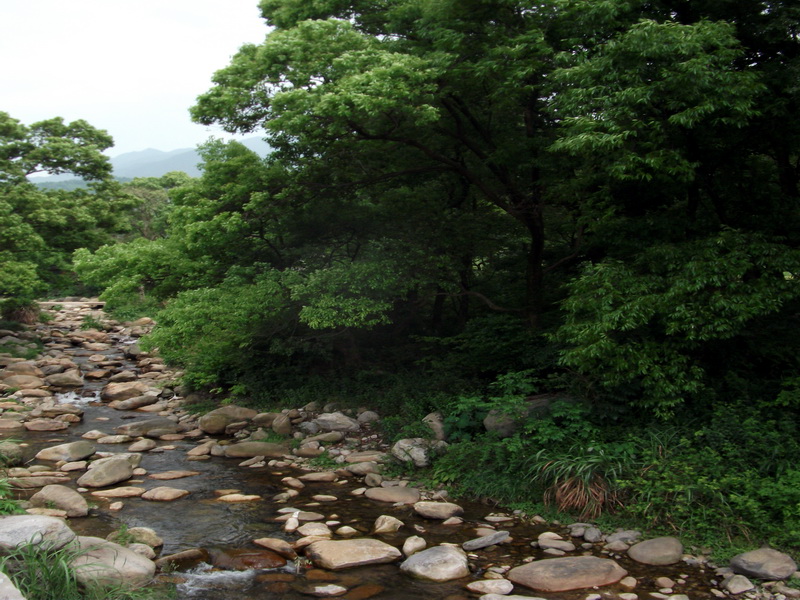 dscf0466.jpg