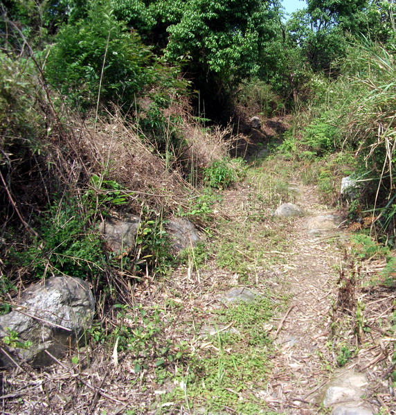 dscf0472.jpg