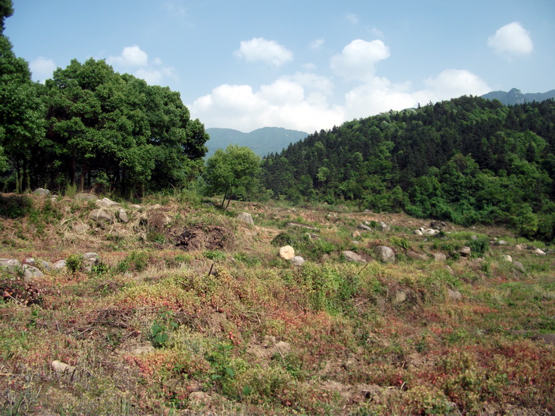 dscf0473.jpg