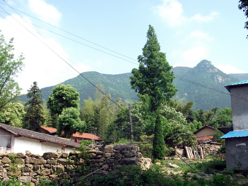 dscf0478.jpg