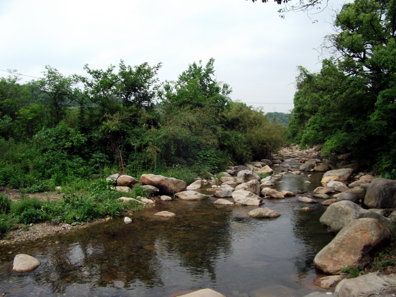 dscf0468.jpg