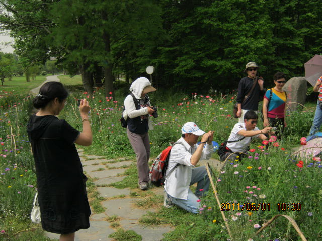img_2599.jpg