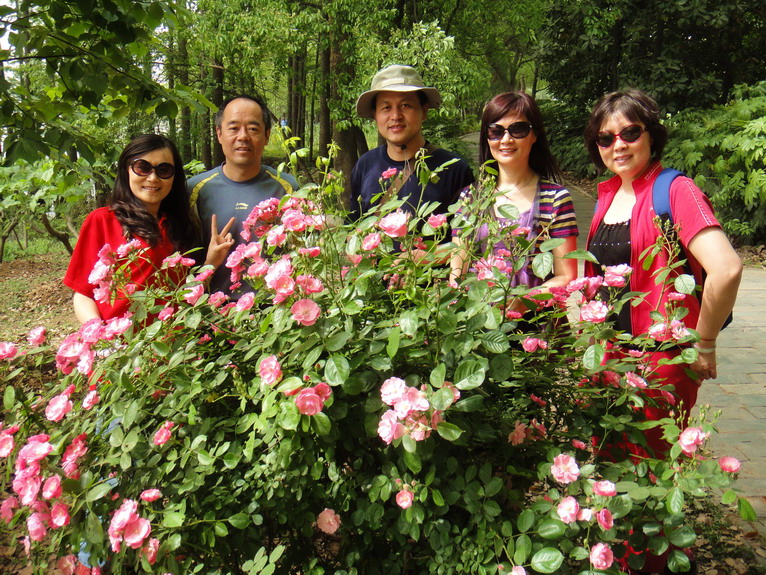 dsc08373.jpg