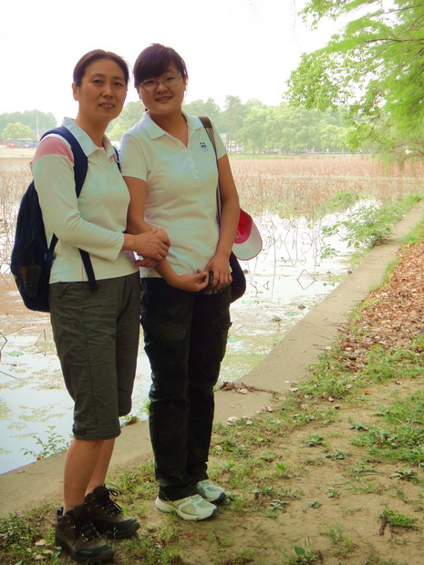 dsc08348.jpg