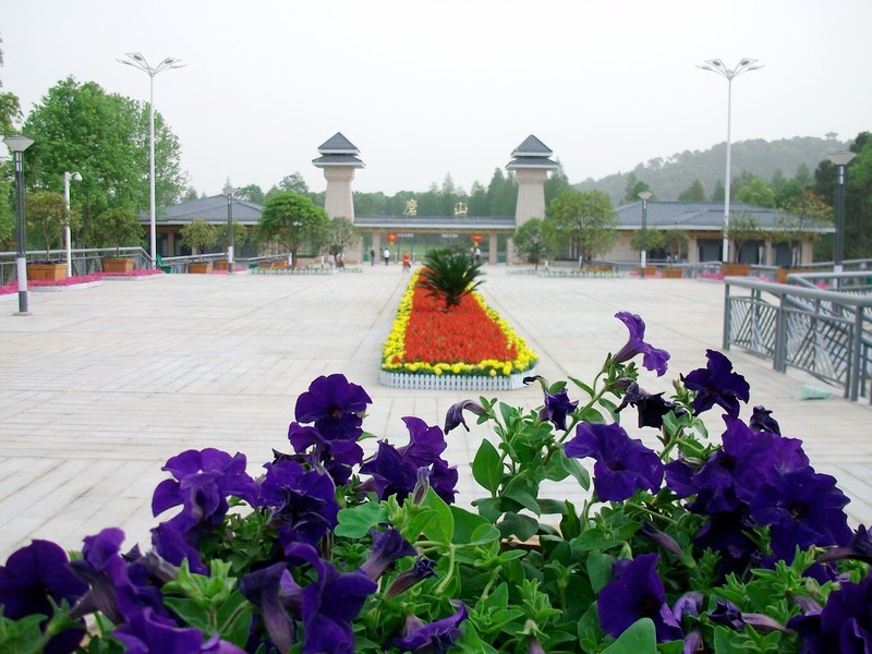 alim5764.jpg