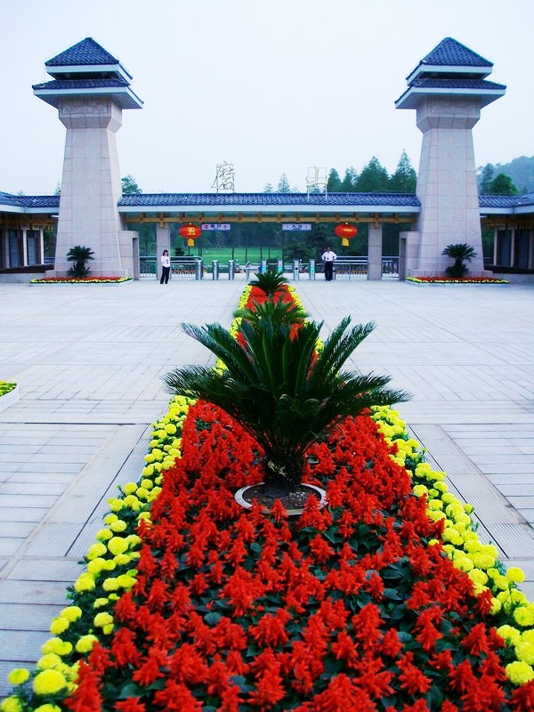 alim5770.jpg