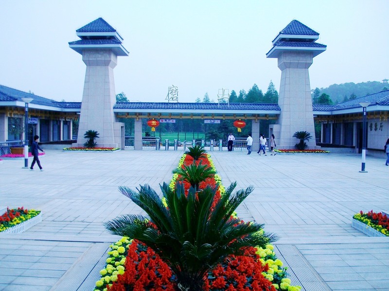 alim5768.jpg