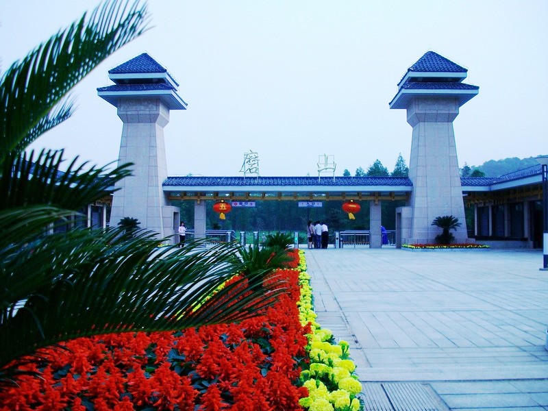 alim5769.jpg