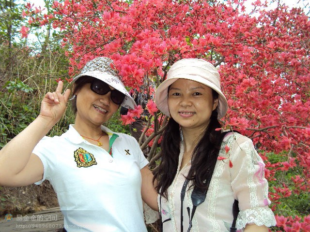 2011588564417291.jpg