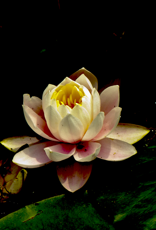 dsc_6273a.jpg