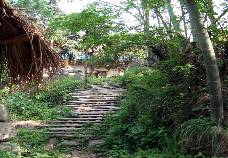 dscf0479.jpg