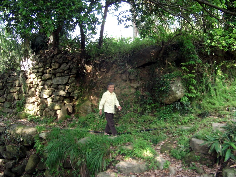 dscf0484.jpg