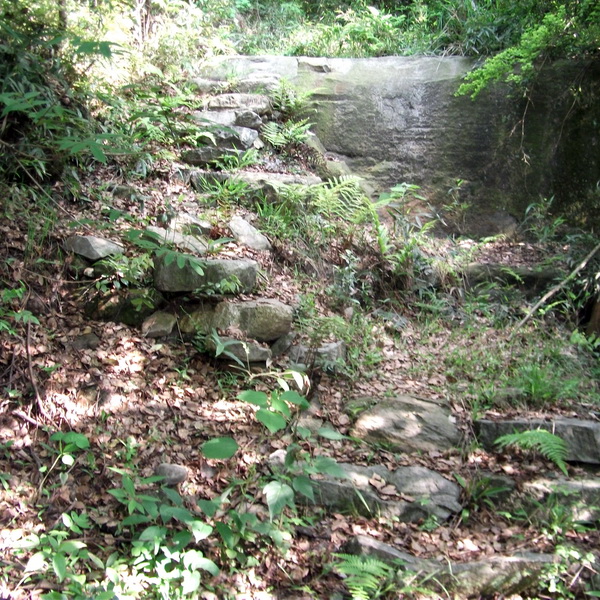 dscf0488.jpg