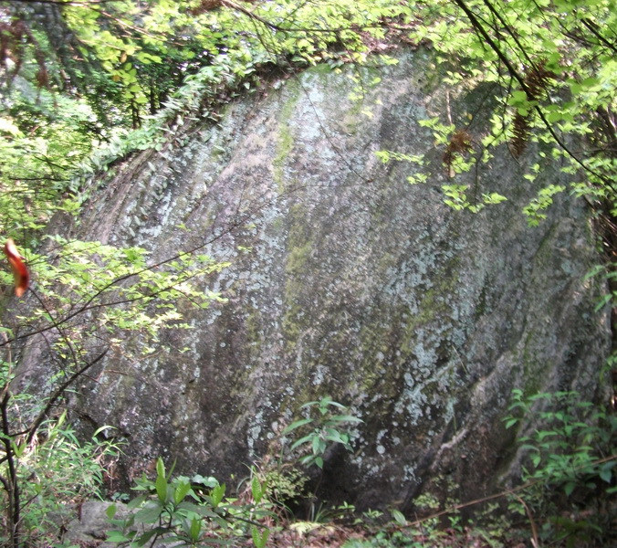 dscf0489.jpg