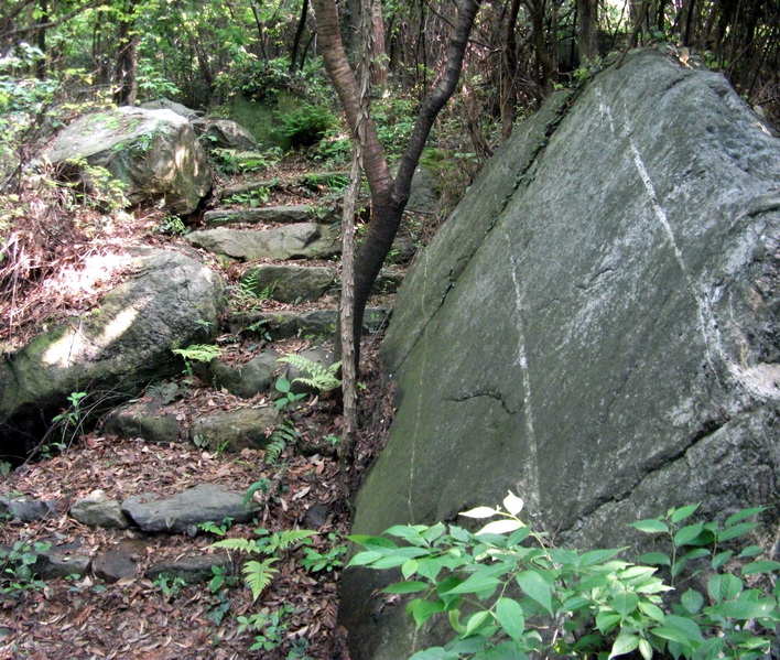dscf0490.jpg
