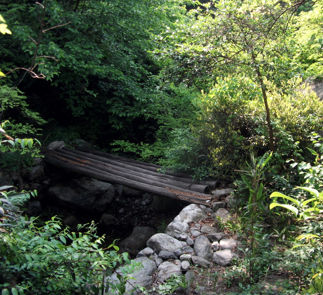 dscf0492.jpg