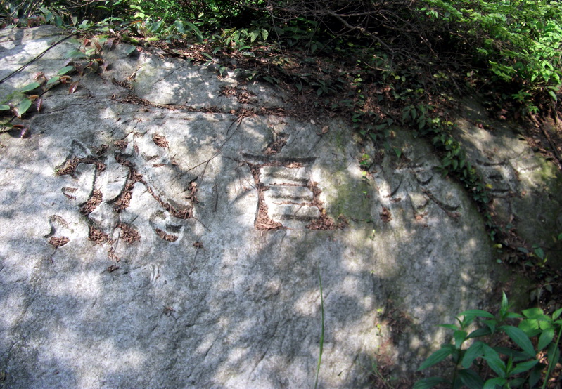 dscf0504.jpg