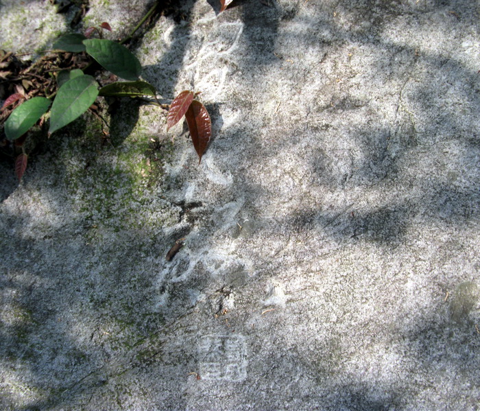 dscf0505.jpg