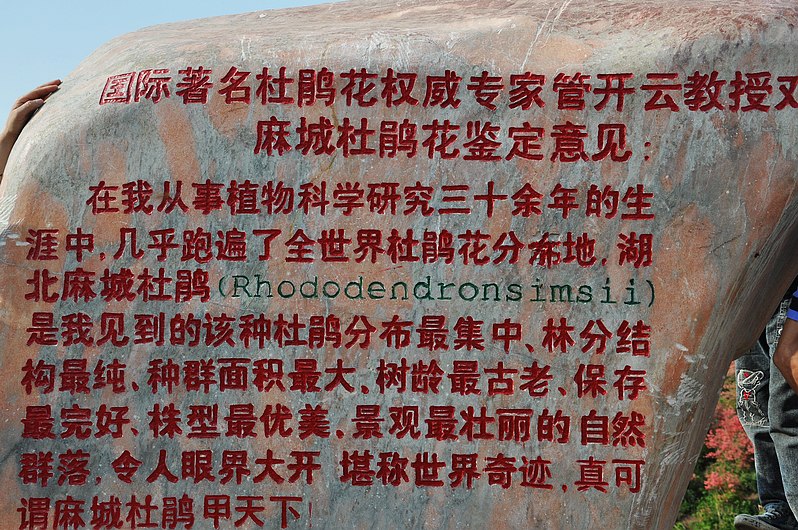 dsc_0482.jpg