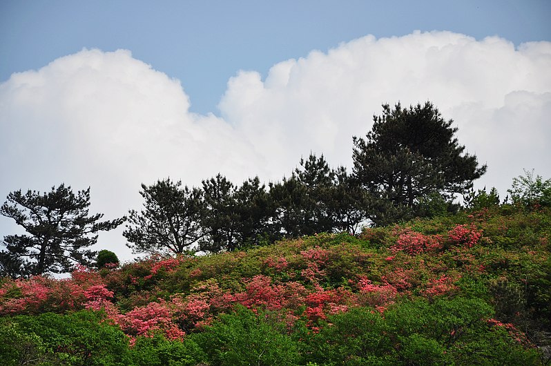 dsc_0454.jpg