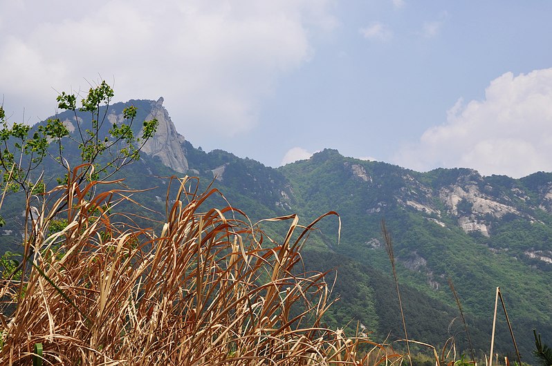 dsc_0377.jpg