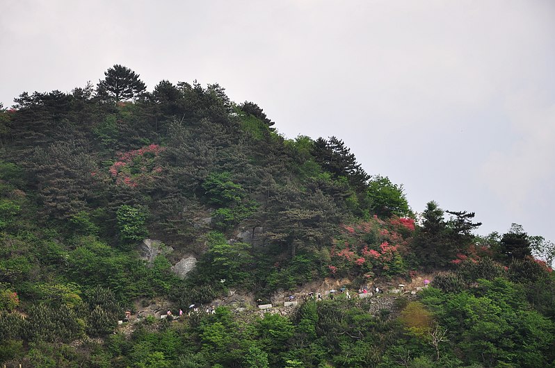 dsc_0440.jpg