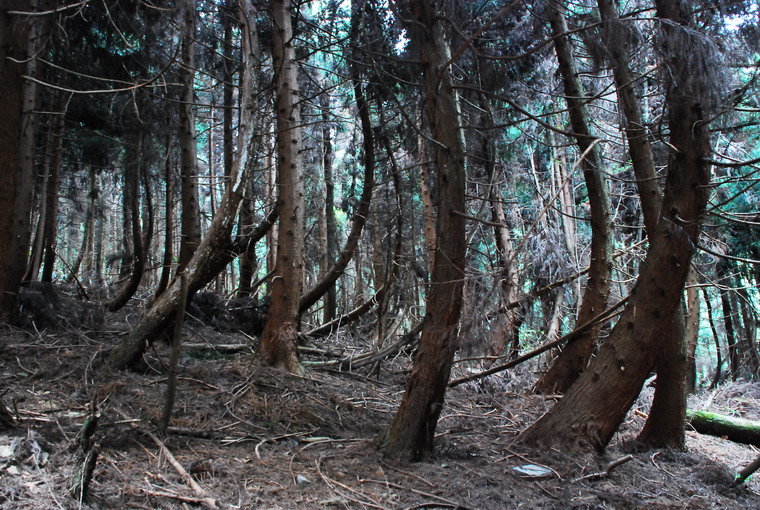 dsc_0220.jpg