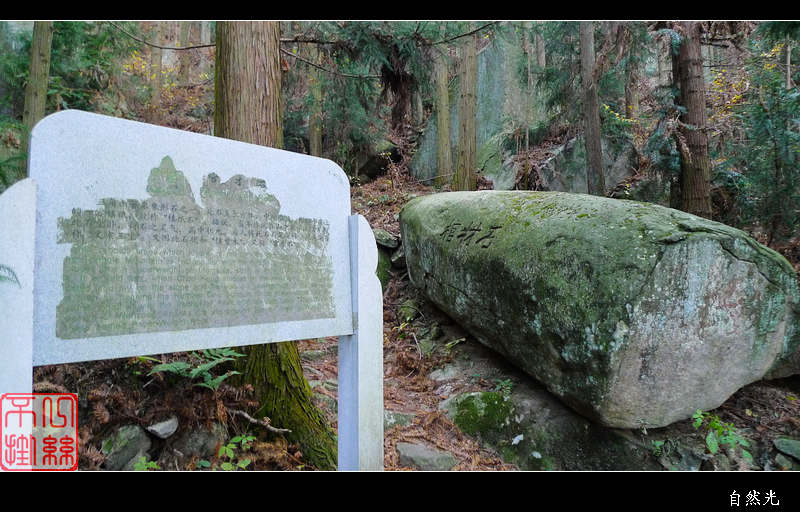 l1170094.jpg