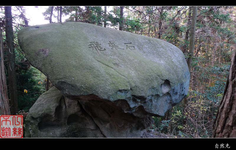 l1170097.jpg