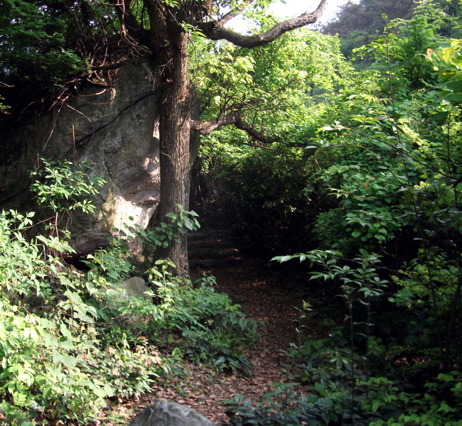 dscf0506.jpg