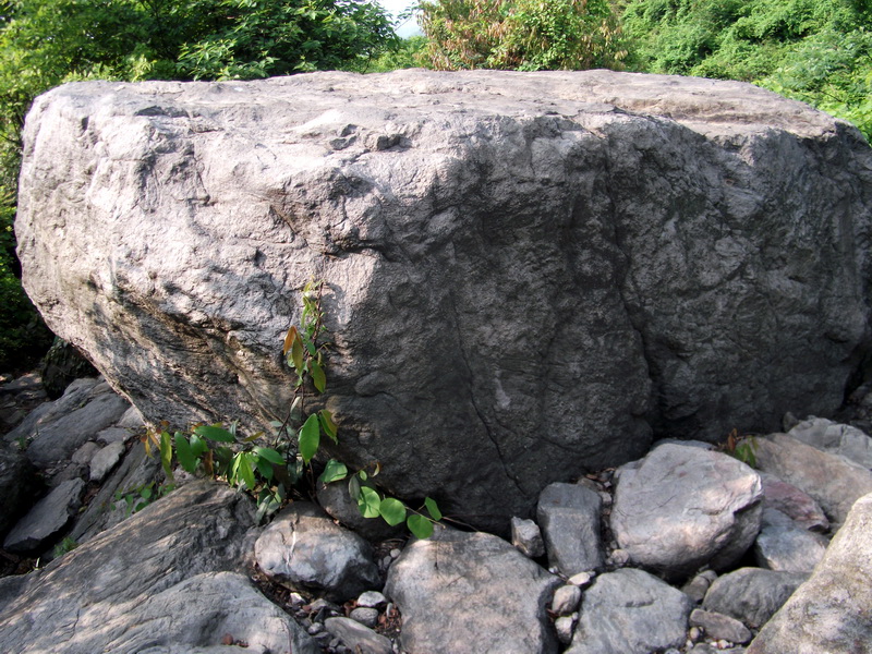 dscf0509.jpg
