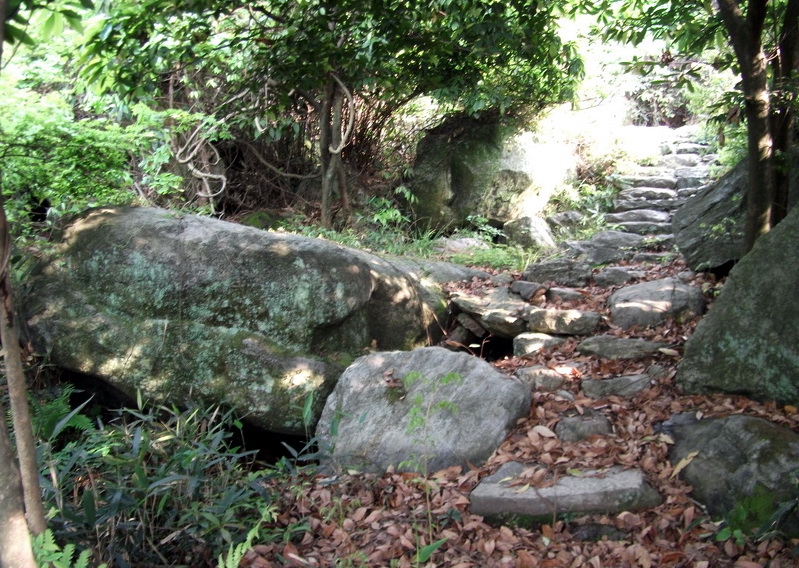 dscf0510.jpg