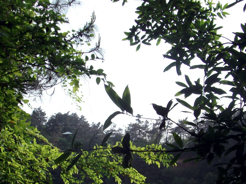 dscf0511.jpg