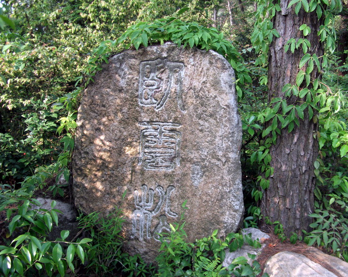 dscf0512.jpg