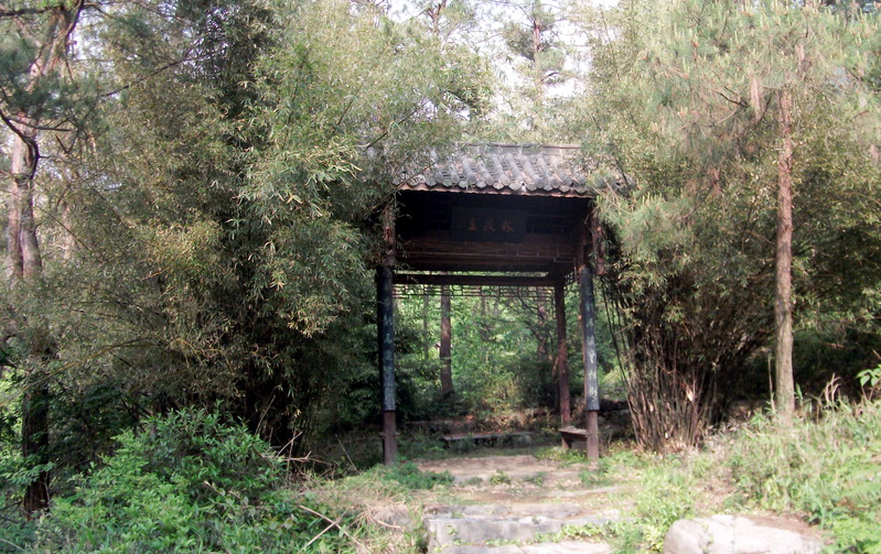 dscf0514.jpg