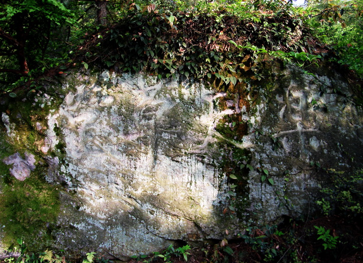dscf0516.jpg