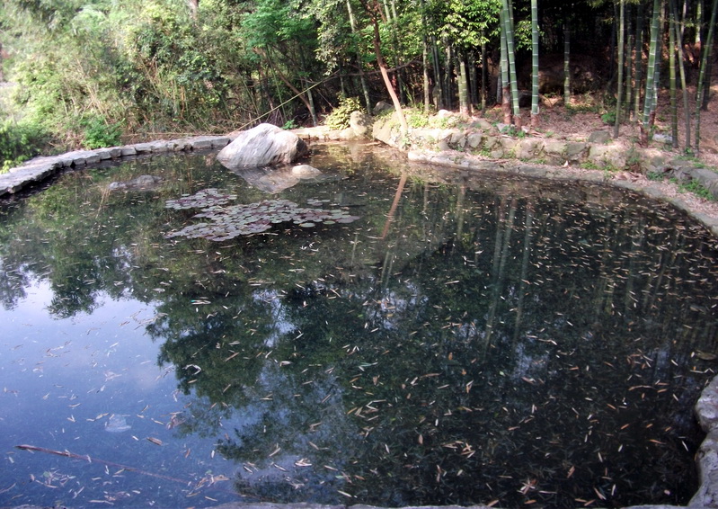 dscf0518.jpg