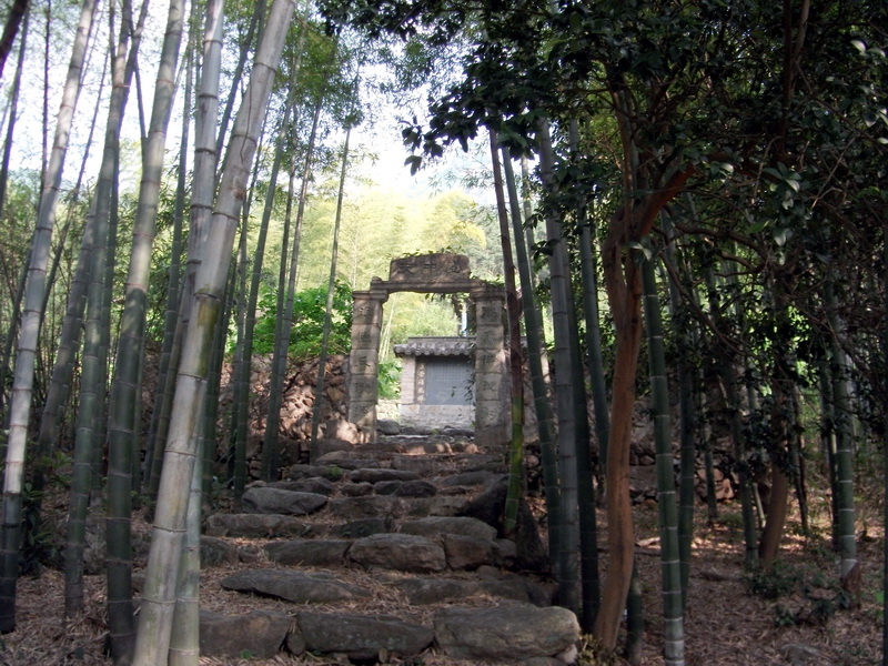 dscf0519.jpg
