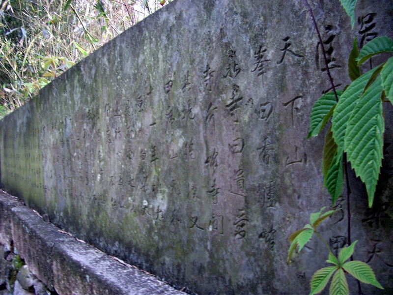 dscf0524.jpg