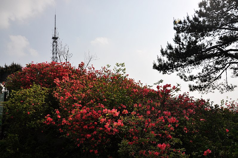 dsc_0490.jpg