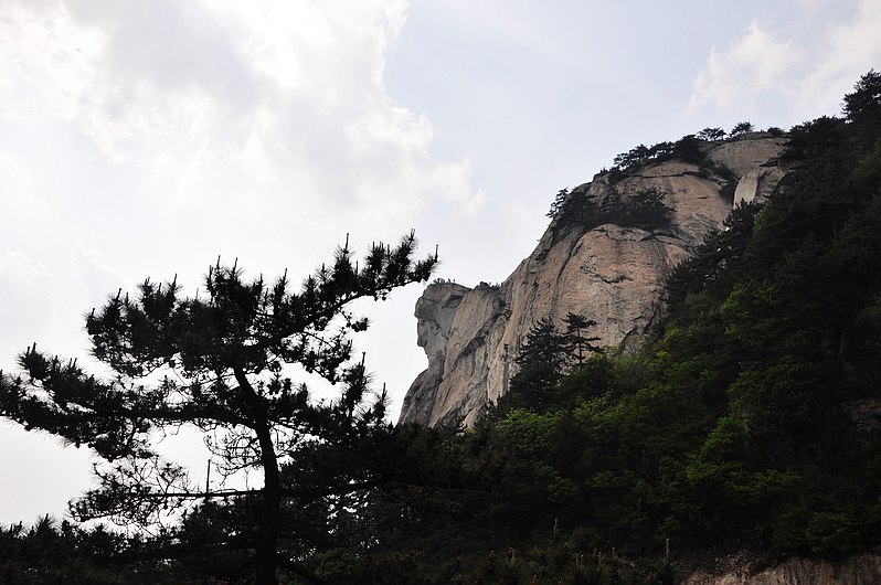 dsc_0447.jpg
