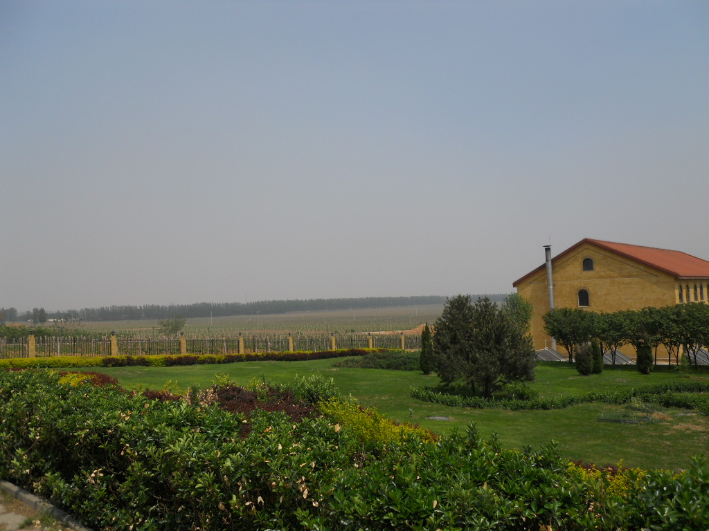 dscn1355.jpg