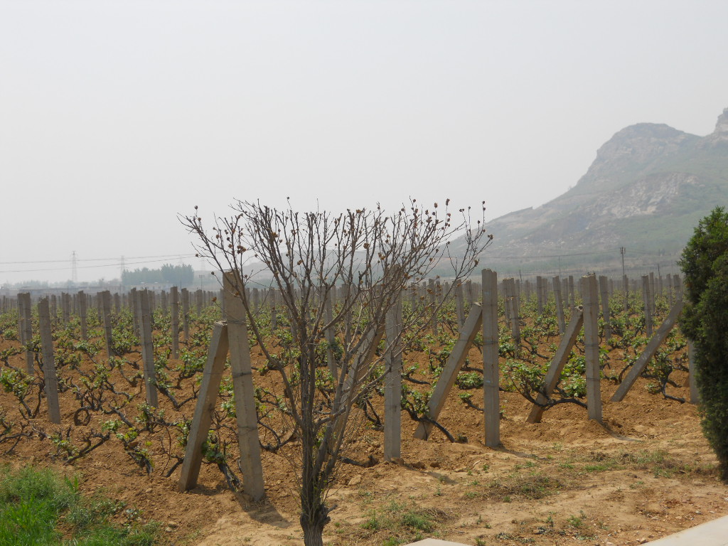 dscn1346.jpg