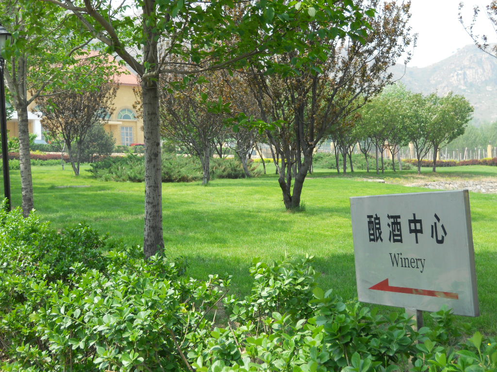 dscn1352.jpg